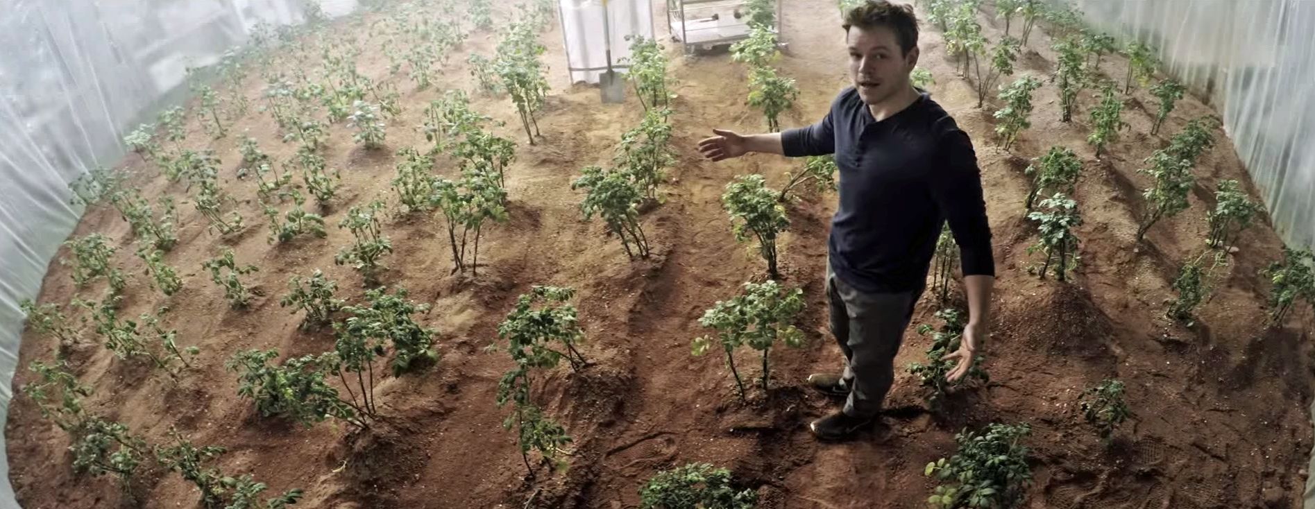 «Марсианин» в реальности: похоже, на Красной планете можно выращивать картошку