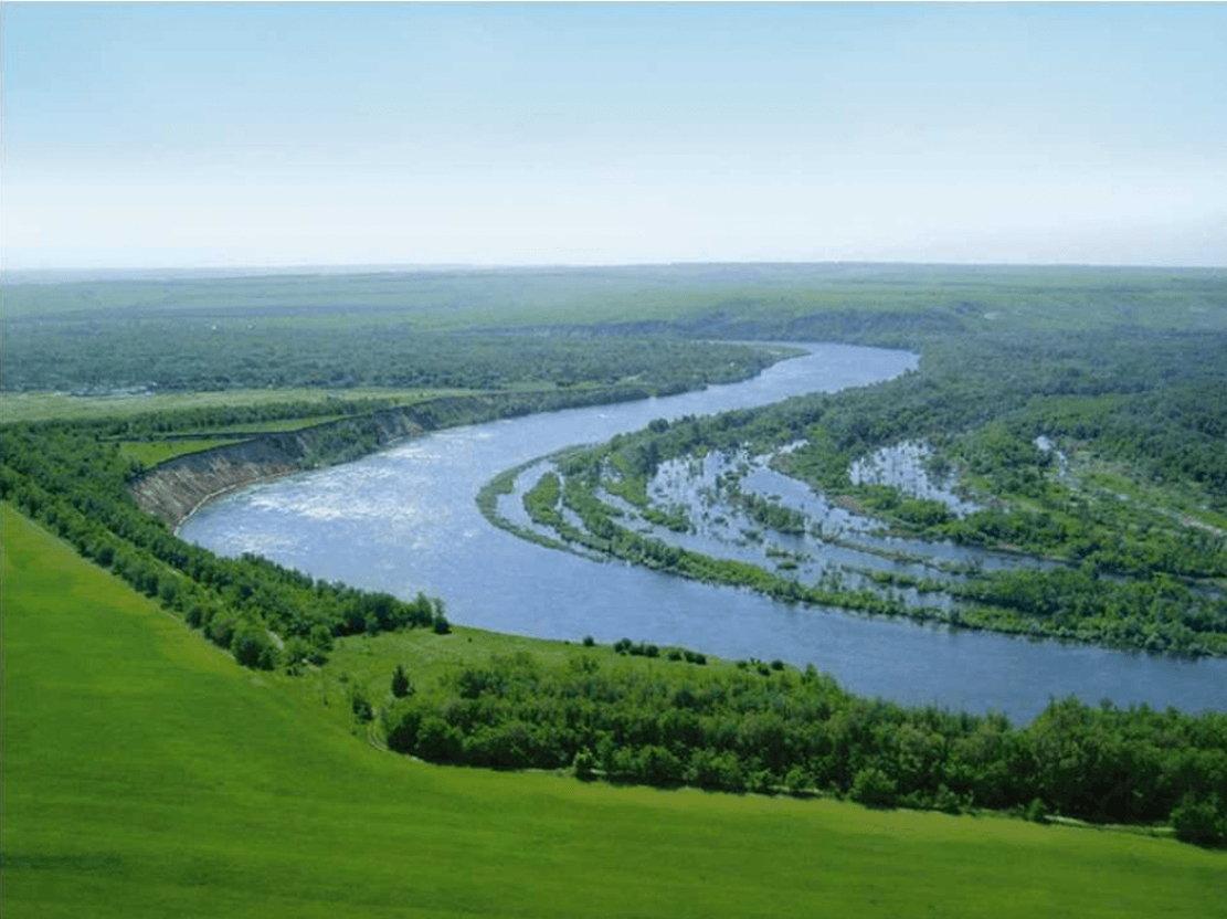 Как в Ростовской области сохраняют леса и оздоравливают реки