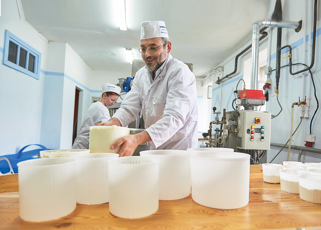 Синьор Пармезан: как в Волгодонске делают настоящий итальянский сыр 