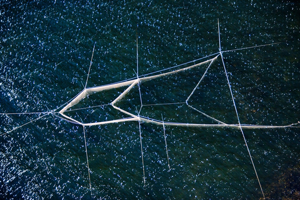 Рыболовная сеть в Белом море.