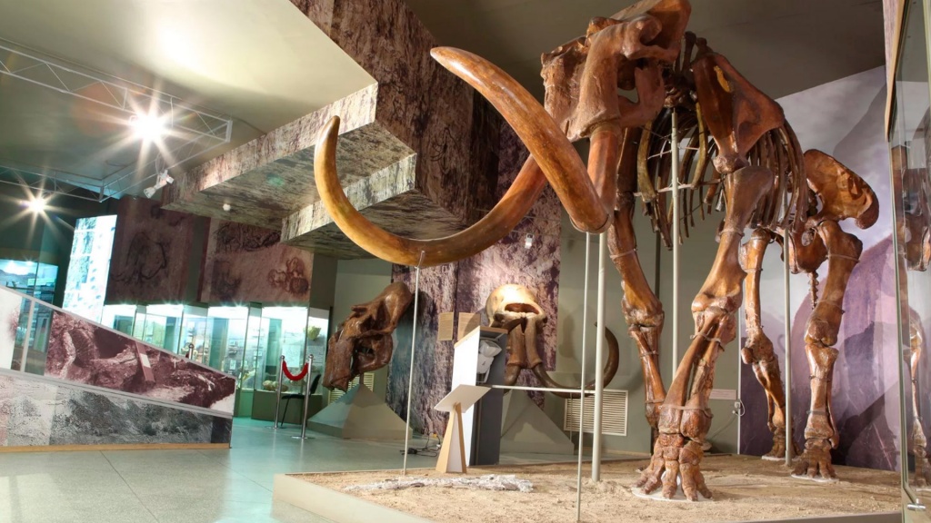 Скелет трогонтериевого мамонта в Азовском музее-заповеднике.