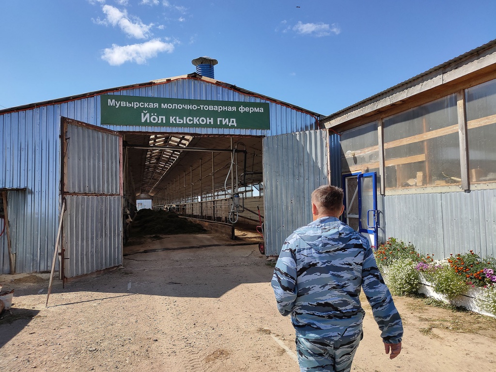 В 2016 году Корепанов получил грант (4,8 млн руб.) на свою молочную ферму. На эти деньги хозяин Мувыра установил доильное оборудование, охладитель, миксер, купил два трактора и скот. Осенью этого года в деревне заработает мини-завод по переработке молока.