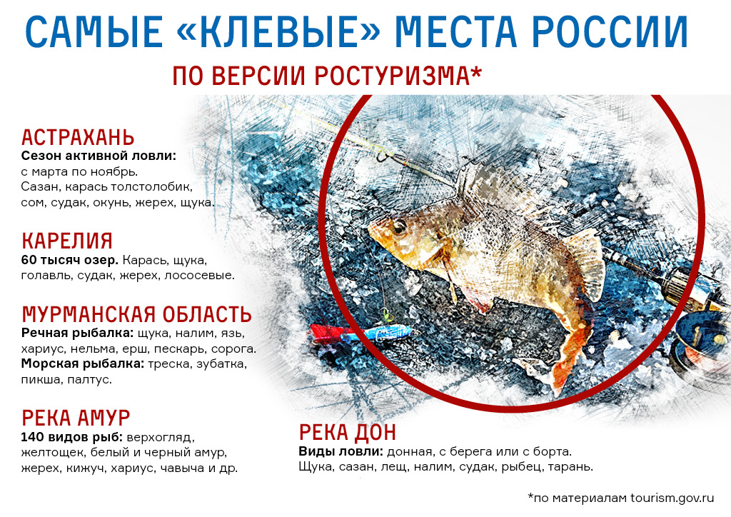 Израильтянин Илан Остроброд — об астраханской рыбалке, сызранских грибах и железном русском характере