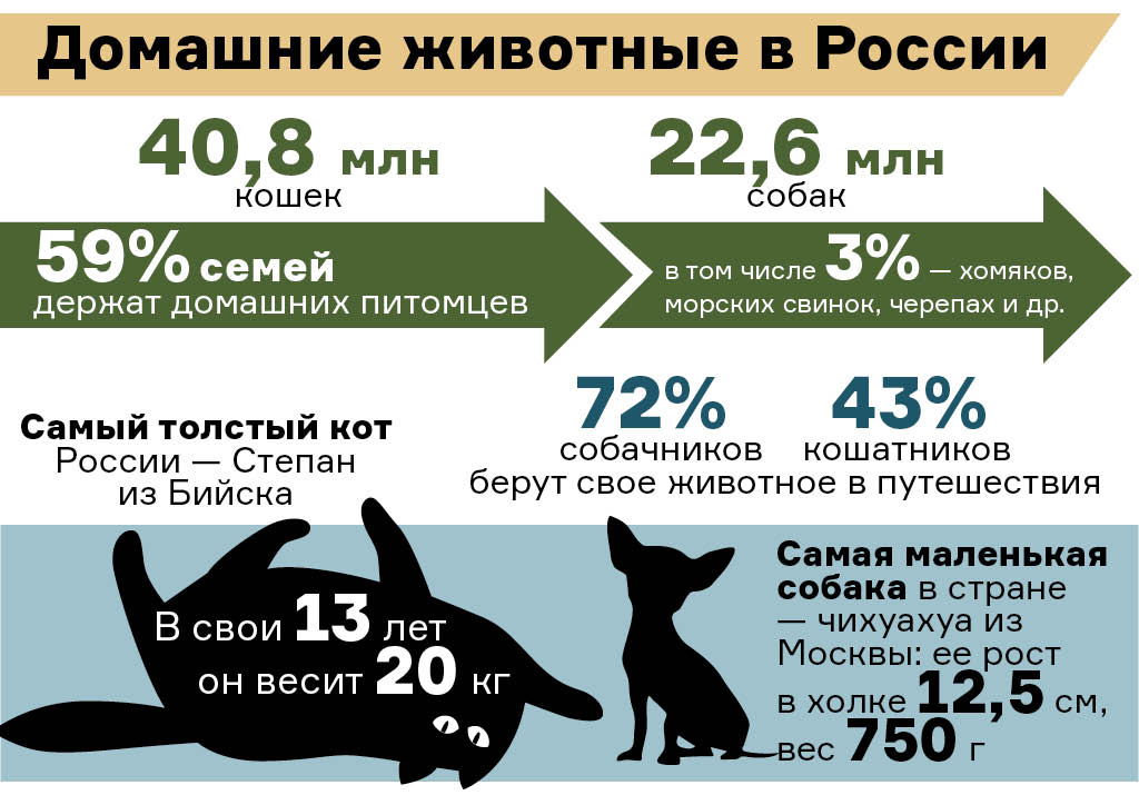 Ветеринар из Сибири печатает протезы для кошек и собак на 3d-принтере