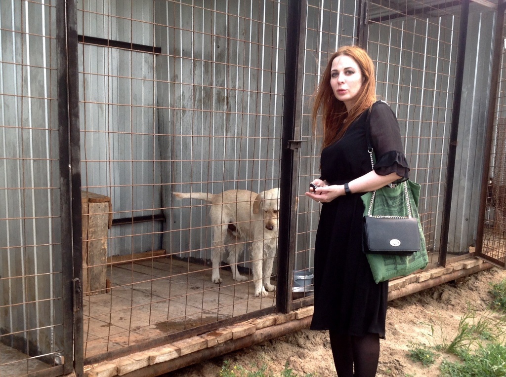 Марина Ахмедова в якутском приюте для собак.