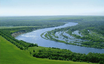 Как в Ростовской области сохраняют леса и оздоравливают реки